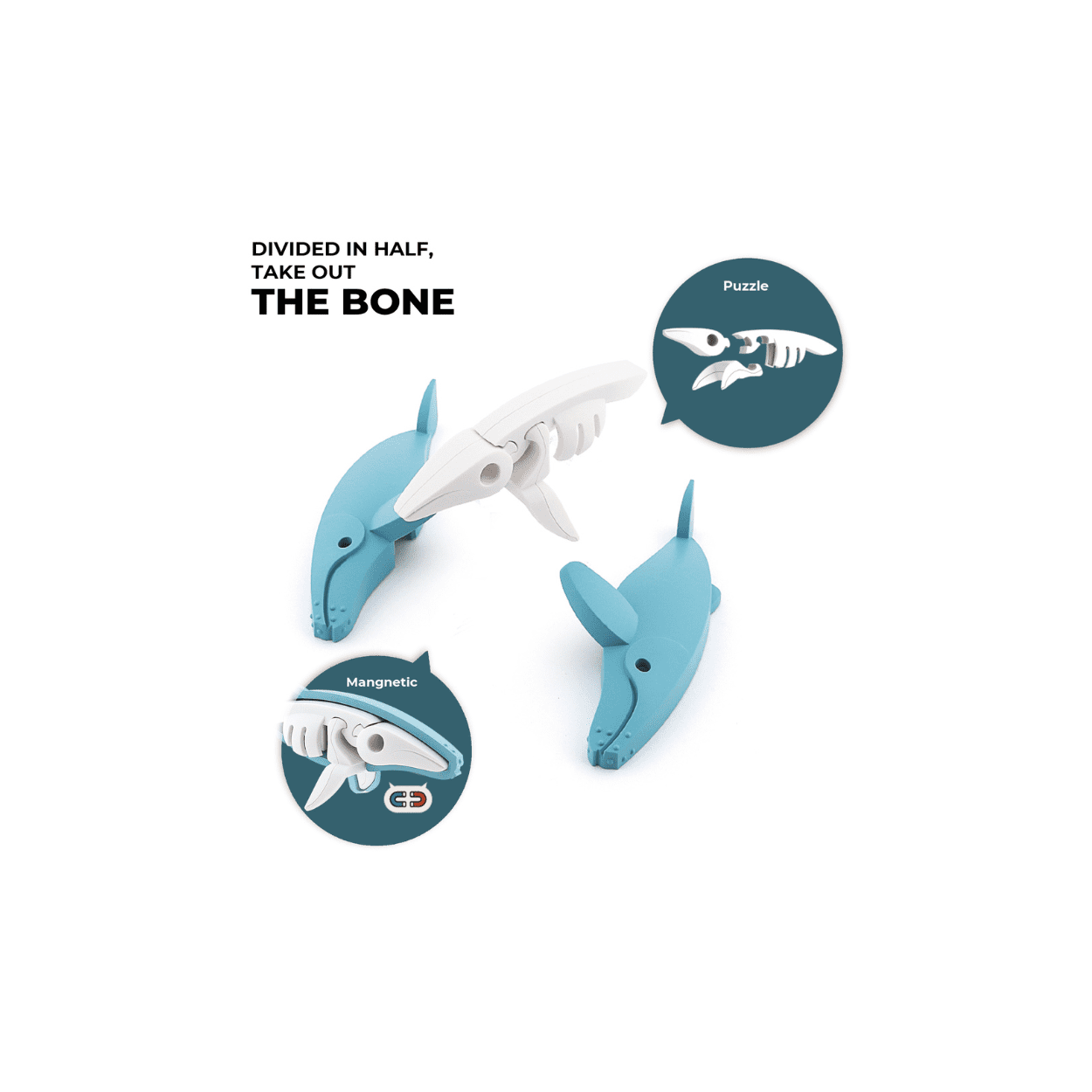 Halftoys Humpback Whale - Magneetfeest