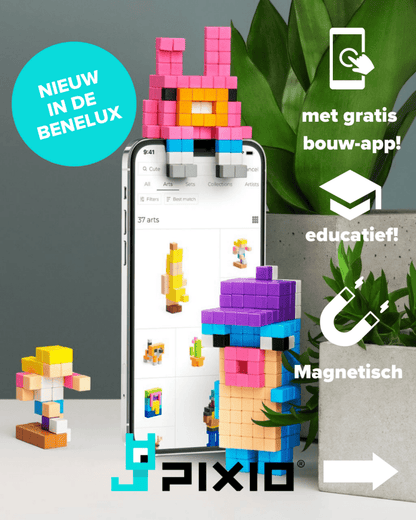 PIXIO blocks 200 stuks - Magneetfeest